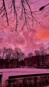 Vitamin D in low in winter